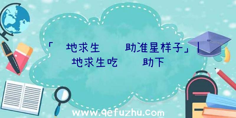 「绝地求生调辅助准星样子」|绝地求生吃鸡辅助下载